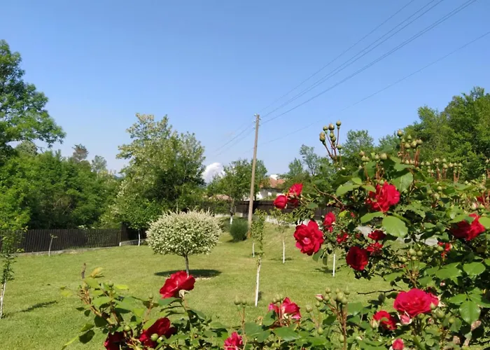 костови Miykovtsi