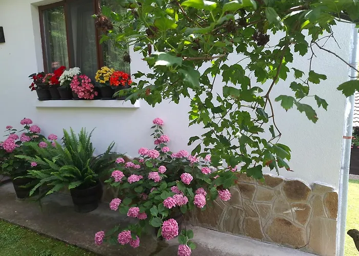 костови Semesterbostad